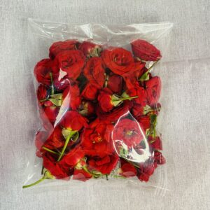 Button rose Flowers