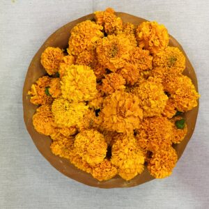 Orange marigold Flowers