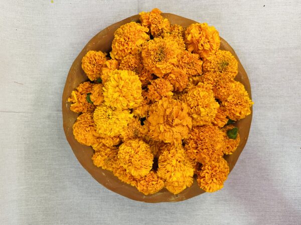 Orange marigold Flowers
