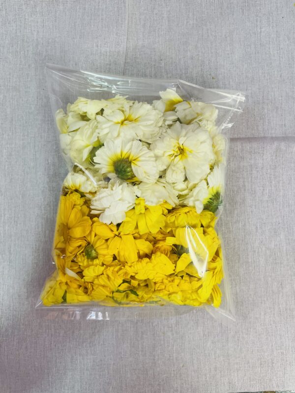 Mix bijli Flowers