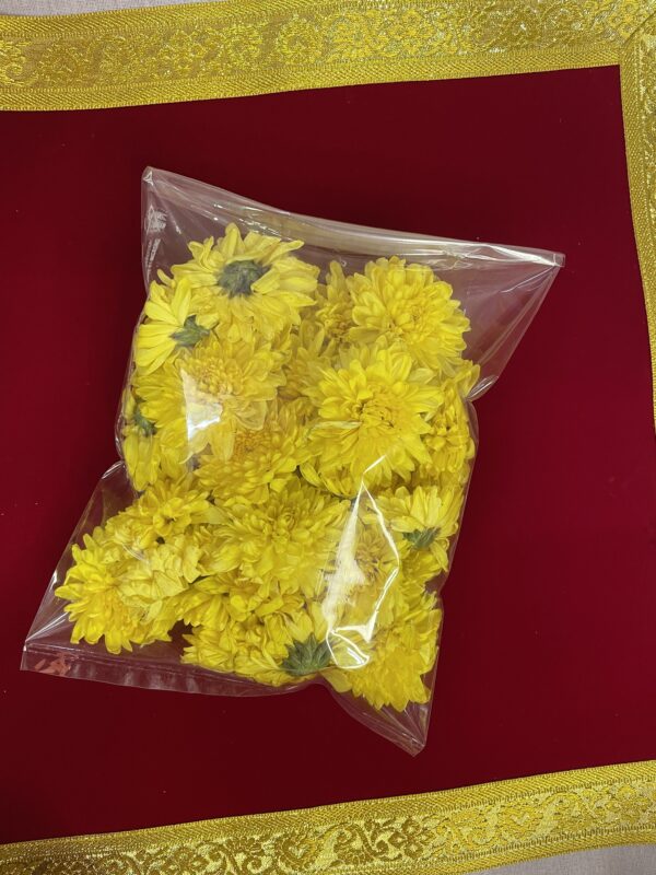 Yellow shevanti flowers