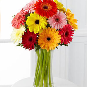 Jarbeera flower (daisy)