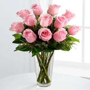 Pink rose