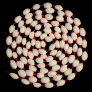 Vastra Mala