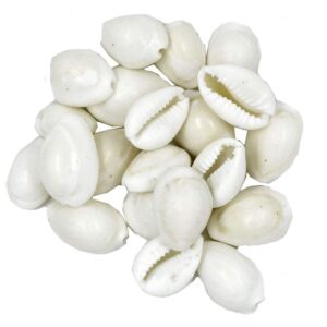 White Kavadi / Safed kodi