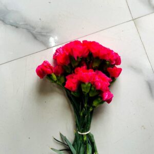 Pink Carnations