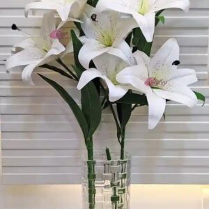 White Lily