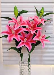 Pink Lily