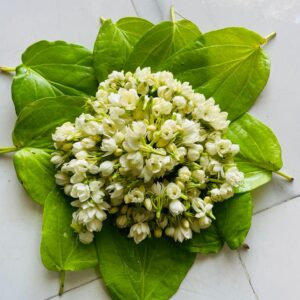 Mogra Gajara