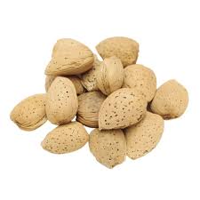 Badam