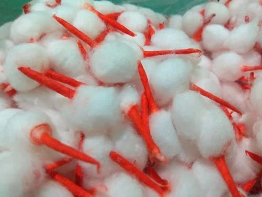 Red Kumkum phool Vat