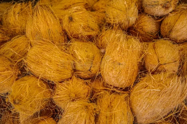 Kesar coconut / Nariyal