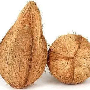 Peeled coconut / Nariyal