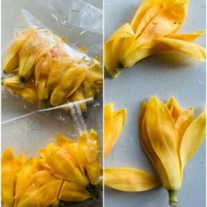 Chafa