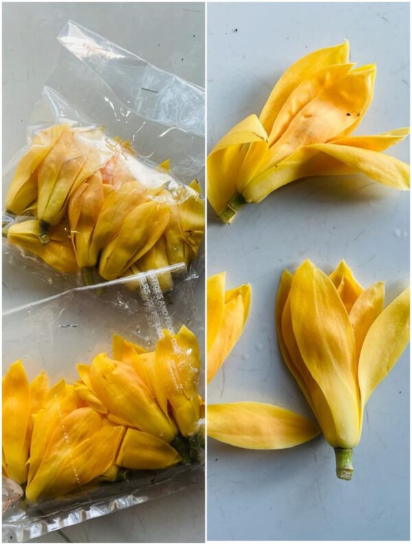 Chafa