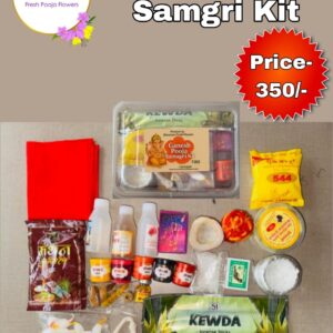 Ganesh Pooja Samgri kit